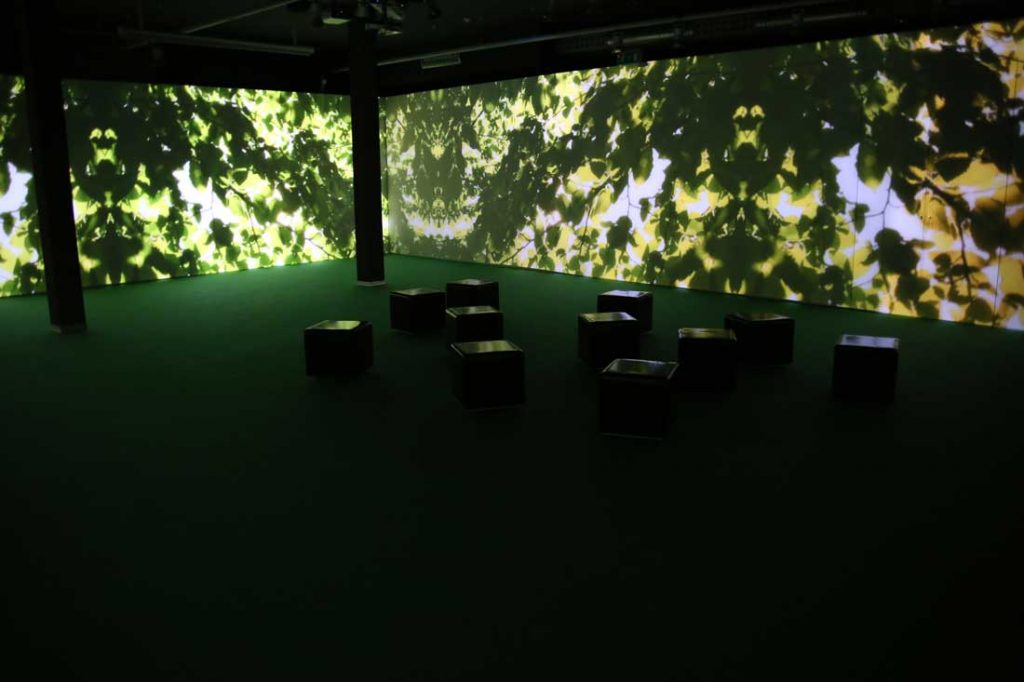 Biblioteca Degli Alberi – Video Installazione