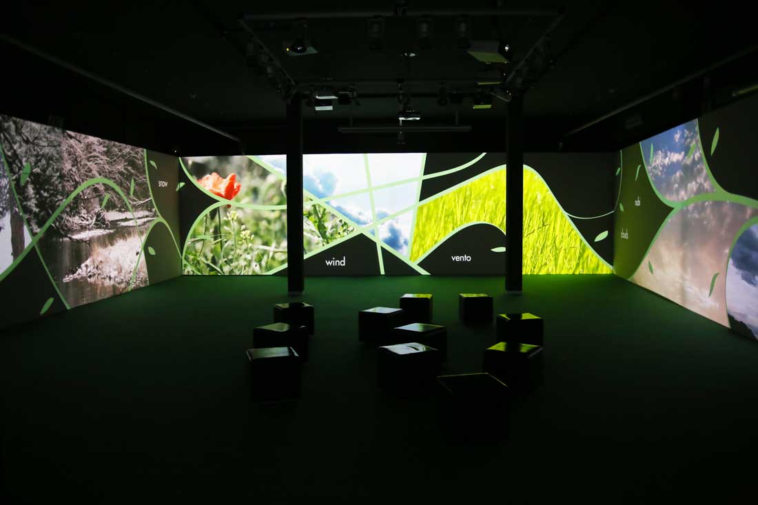 Biblioteca degli Alberti Video installazione Terminus