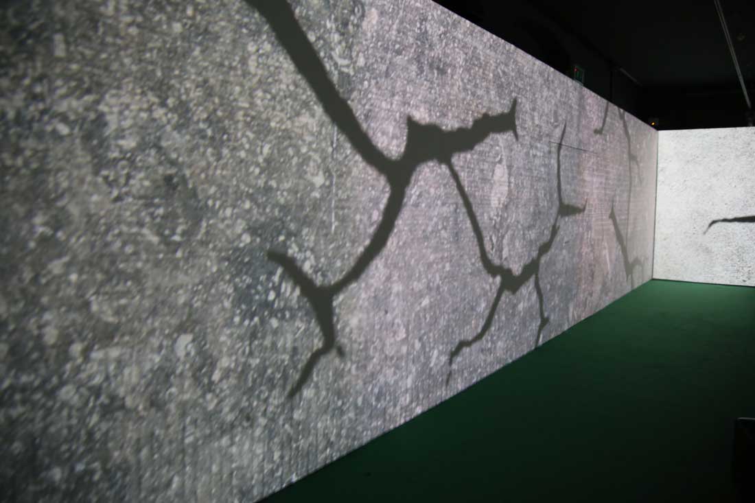 Biblioteca degli Alberti Video installazione Terminus