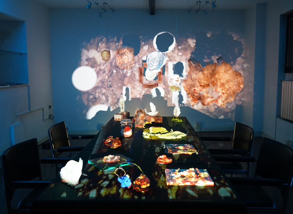 “Terreno Antropico”